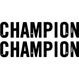 Champion Band Stickers – Hardcore Punk Decals (2-Pack)