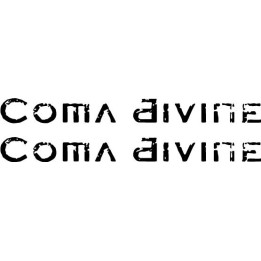 Coma Divine Stickers – Band Logo Music Decals (2-Pack)
