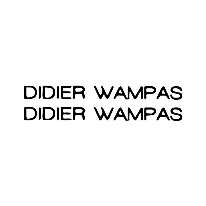 Didier Wampas Stickers – French Punk Rock Decals (2-Pack)