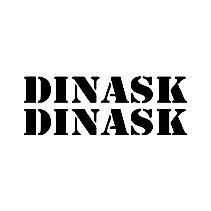 Dinask Stickers – Band Logo Music Decals (2-Pack)