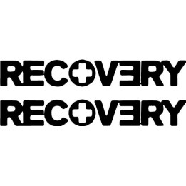 Eminem Recovery Stickers – Slim Shady Decals (2-Pack)