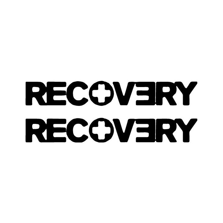 Eminem Recovery Stickers – Slim Shady Decals (2-Pack)
