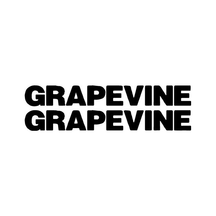 Grapevine Stickers – Japanese Rock Band Decals (2-Pack)