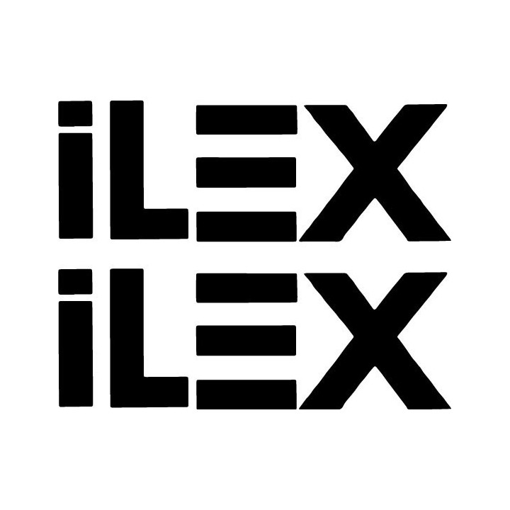 Ilex Band Stickers – German Metal Decals (2-Pack)