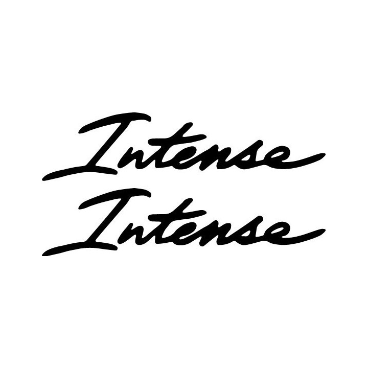 Intense Cycles Stickers – MTB Frame Decals (2-Pack)